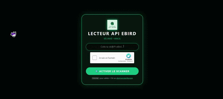 Démo Lecteur API eBird